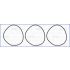 O-RING AJUSA 60010900 IVECO F2BE0681 98-