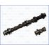 WAŁEK ROZRZĄDU AJUSA 93171700 FIAT 16V 1.2 01-