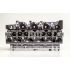GŁOWICA AMC 908788 RENAULT 1.5DCI K9K 00-