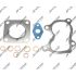 KOMPLET USZCZELEK TURBOSPRĘŻARKI JRONE T4919 FIAT 2.4JTD 99-02