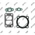 KOMPLET USZCZELEK TURBOSPRĘŻARKI JRONE T4985 NEW HOLLAND 675TA -