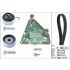KOMPLET ROZRZĄDU INA 530049210 OPEL 1.7D 00-12