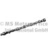 WAŁEK ROZRZĄDU BF 20100335201 MERCEDES OM353 69-01
