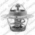 TERMOSTAT VERNET 5971.82 CHERRY/TERRANO/