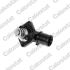 TERMOSTAT VERNET TH6191.89J PSA 1.1-1.6 96-
