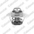 TERMOSTAT VERNET TH5108.89J PSA 1.0-2.0 82-