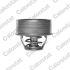 TERMOSTAT VERNET TH1503.72 PSA XD4,XD2 /-85/