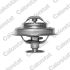 TERMOSTAT VERNET 4945.89 PG/CT C25,J5 1.9D