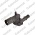 TERMOSTAT VERNET TH6126.89J RENAULT 1.2 96-