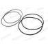 USZCZELKA TULEI PAYEN HL5378 RVI DCI11 00-