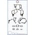 KOMPLET USZCZELEK BLOKU AJUSA 54246300 NISSAN 3.0TD 13-