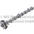 WAŁEK ROZRZĄDU KOLBENSCHMIDT 50007673 VW 16V 2.0TFSI 04-