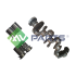 WAŁ KORBOWY+PANEWKI MV PARTS D3590-K BMW 16V 2.0D 06-