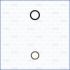 USZCZELKA DYSZY WTRYSKIWACZA AJUSA 77002700 RENAULT 1.9D 02-
