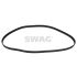 PASEK ROZRZĄDU SWAG 70928306 OPEL 1.9D 04-