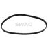 PASEK ROZRZĄDU SWAG 30919546 VW 1.8 95-
