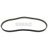 PASEK ROZRZĄDU SWAG 50947999 FORD 1.0T 13-