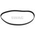 PASEK ROZRZĄDU SWAG 64924367 PSA 1.6D 03-