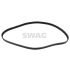 PASEK ROZRZĄDU SWAG 30934126 VW 1.2-2.0D 03-