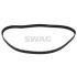 PASEK ROZRZĄDU SWAG 99020071 PSA 1.9D 95-12