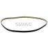 PASEK ROZRZĄDU SWAG 62101047 PSA 2.7-3.0D 04-