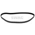 PASEK ROZRZĄDU SWAG 62929270 PSA 2.2D 01-