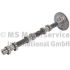 WAŁEK ROZRZĄDU KOLBENSCHMIDT 50007695 MERCEDES V6 3.0CDI 09-