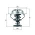TERMOSTAT MAHLE TX17878D HONDA 2.0-3.7 90-