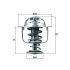 TERMOSTAT MAHLE TX19771D RENAULT 3.0DCI 03-