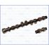 WAŁEK ROZRZĄDU AJUSA 93022900 DAEWOO 1.6 97-99