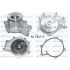 POMPA WODY DOLZ M654 MAN D0834 -