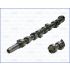 WAŁEK ROZRZĄDU AJUSA 93057000 FORD 1.6D 84-90