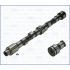 WAŁEK ROZRZĄDU AJUSA 93019000 FORD -1.6 OHC 83-87