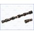 WAŁEK ROZRZĄDU AJUSA 93008600 OPEL C14NZ 89-96