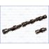 WAŁEK ROZRZĄDU AJUSA 93017900 OPEL 1.4 91-97