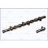 WAŁEK ROZRZĄDU AJUSA 93106100 RENAULT 1.9TD MEGANE 96-97