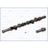 WAŁEK ROZRZĄDU AJUSA 93052600 RENAULT 1.9TD 91-96