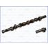 WAŁEK ROZRZĄDU AJUSA 93080900 RENAULT 1.9DTI F9Q 99-00