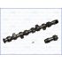 WAŁEK ROZRZĄDU AJUSA 93034900 VW 1.7-1.9SDI 93-96