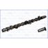WAŁEK ROZRZĄDU AJUSA 93038800 VW 2.5TDI 95-03