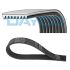 PASEK WIELOROWKOWY DAYCO 8PK1740HD MERCEDES OM926 04-