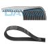 PASEK WIELOROWKOWY DAYCO 11PK2871HD MERCEDES OM541 96-