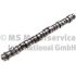 WAŁEK ROZRZĄDU BF 20100411001 VOLVO D11 08-