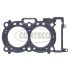 USZCZELKA GŁOWICY CORTECO 83403028 BMW 0.65 13-