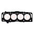 USZCZELKA GŁOWICY CORTECO 49409495 PSA 16V 2.0HDI 07-