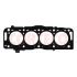 USZCZELKA GŁOWICY CORTECO 49409492 PSA 16V 2.0HDI 07-