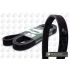 PASEK WIELOROWKOWY DAYCO 7DPK1884 BMW 3.0D 09-