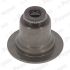 USZCZELNIACZ ZAWOROWY PAYEN PA6117 FORD 1.0-1.6 10-