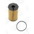 FILTR OLEJU CHAMPION COF100563E PSA 2.7HDI 04-