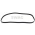 PASEK ROZRZĄDU SWAG 30919606 VW 2.8 96-